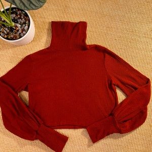 Cute, Rust Colored Urban Outfitters Turtleneck Pullover